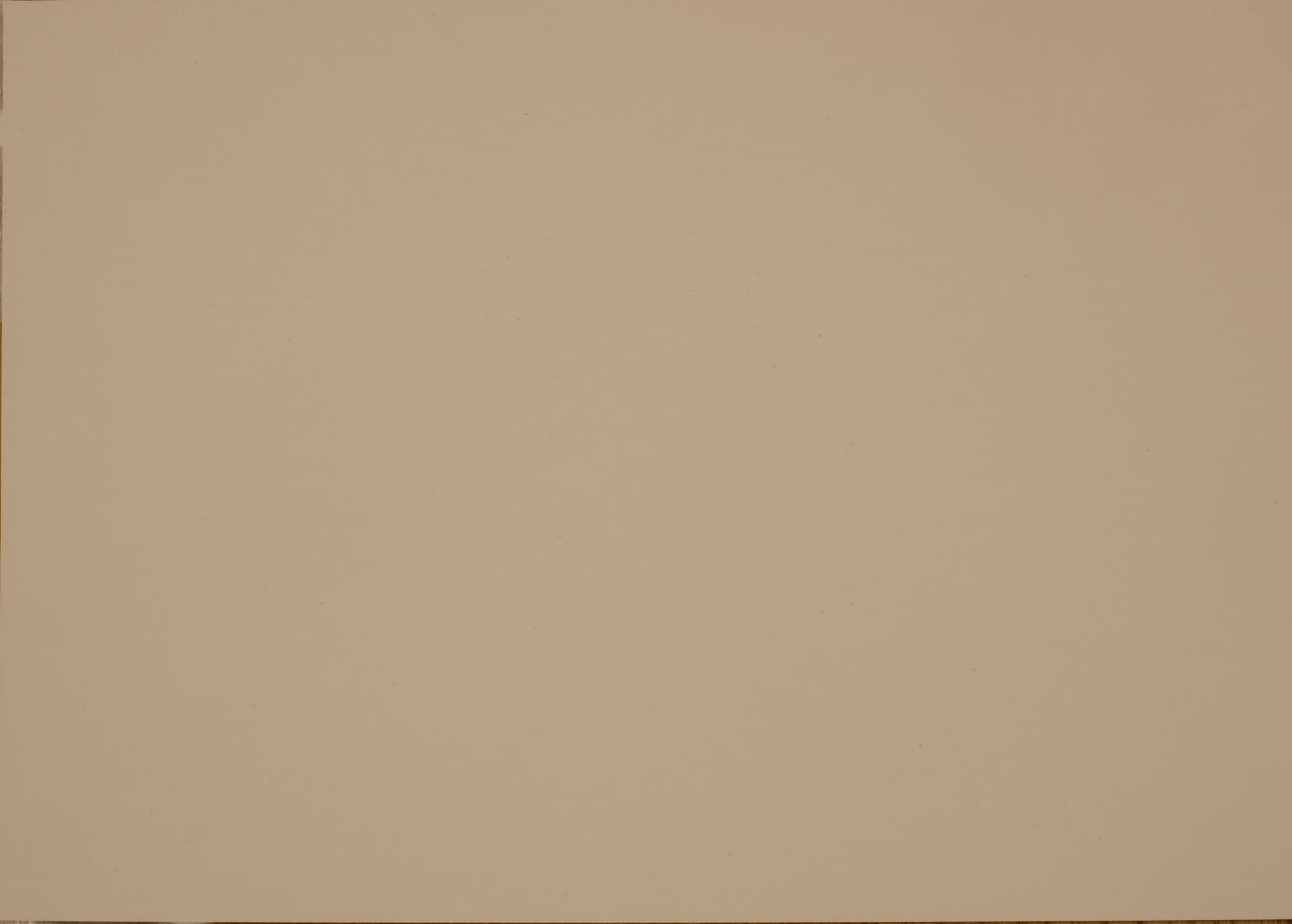 Beige laminat